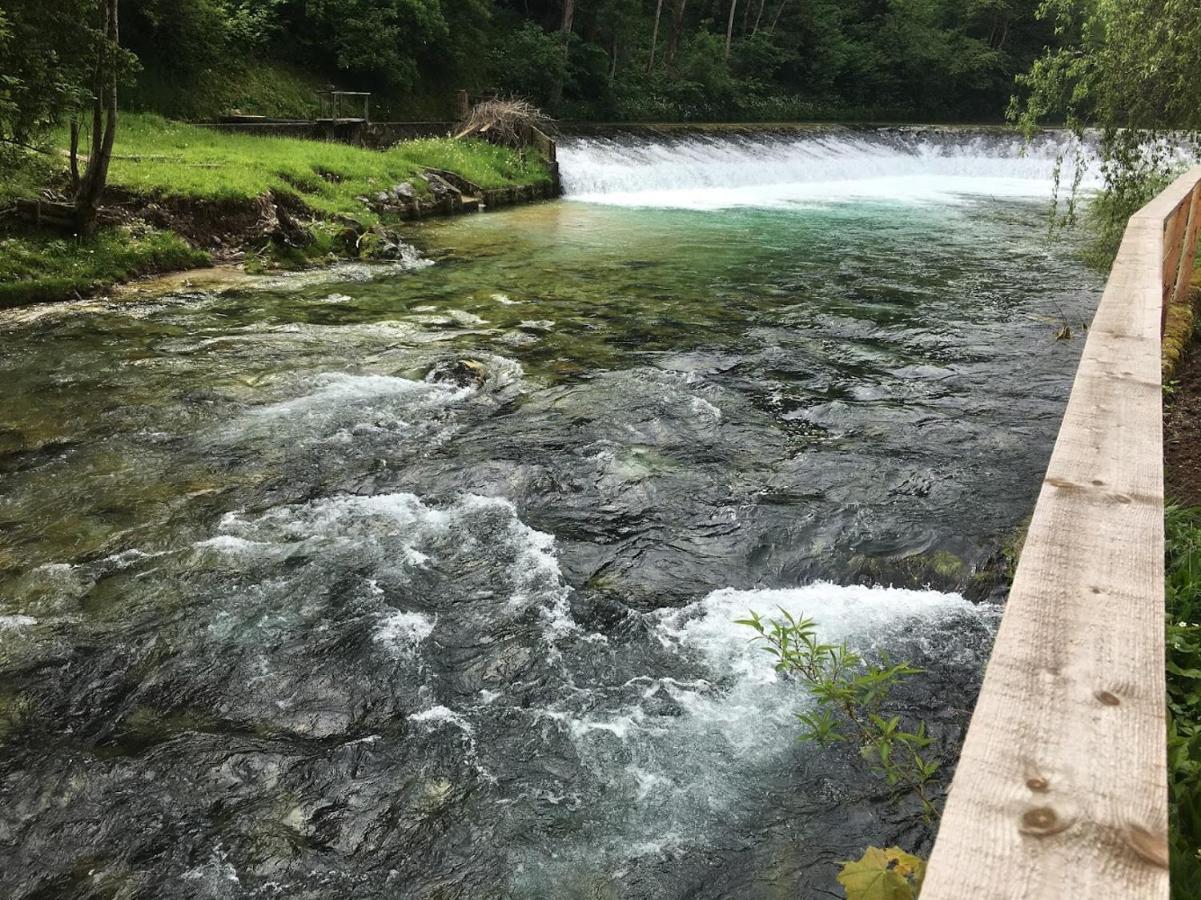 House By The River Villa Zgornje Gorje ภายนอก รูปภาพ